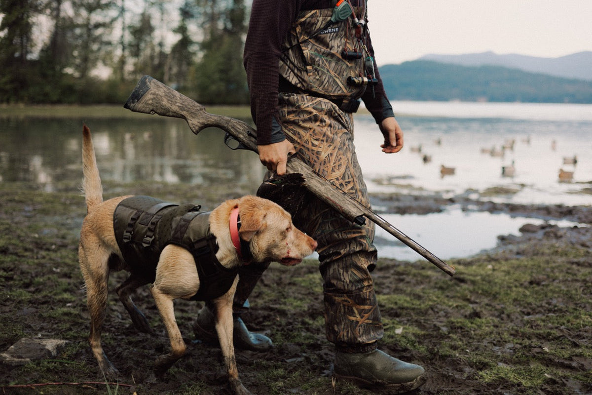 The Best Dog Vest for Waterfowl Hunting: What to Look For (and What to Avoid)