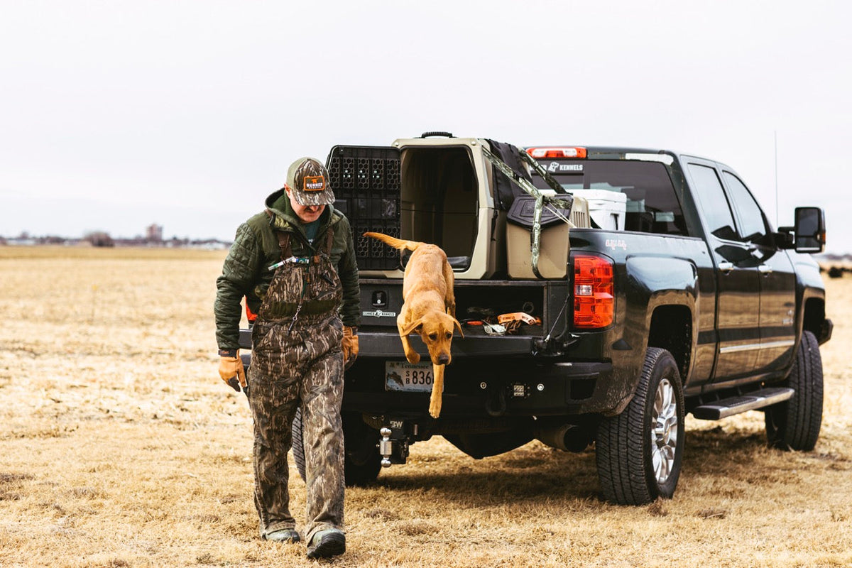 Addison and Chevy | #GunnerDogs