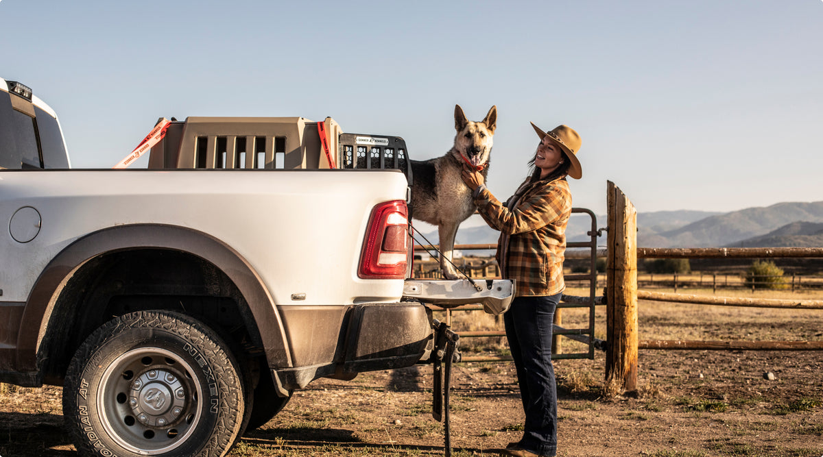A person in a plaid shirt and hat stands beside a white pickup truck in a rural area, petting their loyal working dog standing in the truck bed. Mountains and a fenced field are visible in the background.