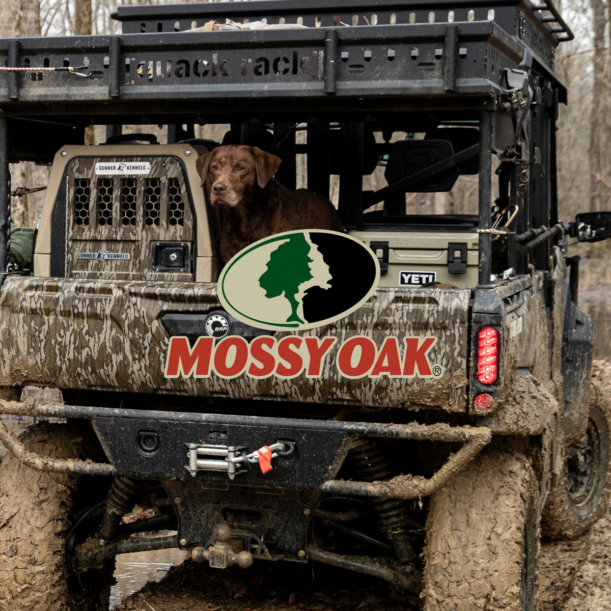 A muddy off-road vehicle with a brown hunting dog sitting in the back, next to a sturdy dog crate. The Mossy Oak logo is on the vehicle’s tailgate. The scene is outdoors in a wooded area with bare trees.