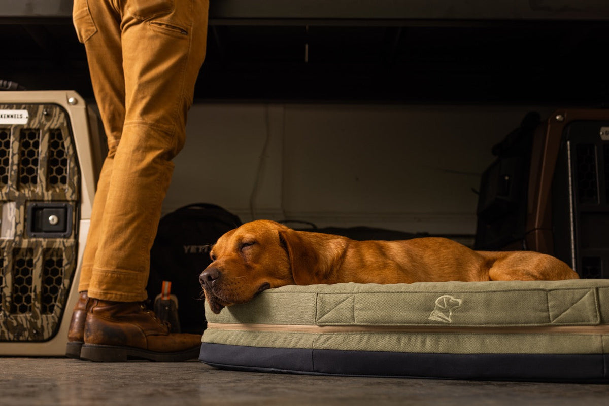 Behind the Design: How We Built the Homestead Dog Bed