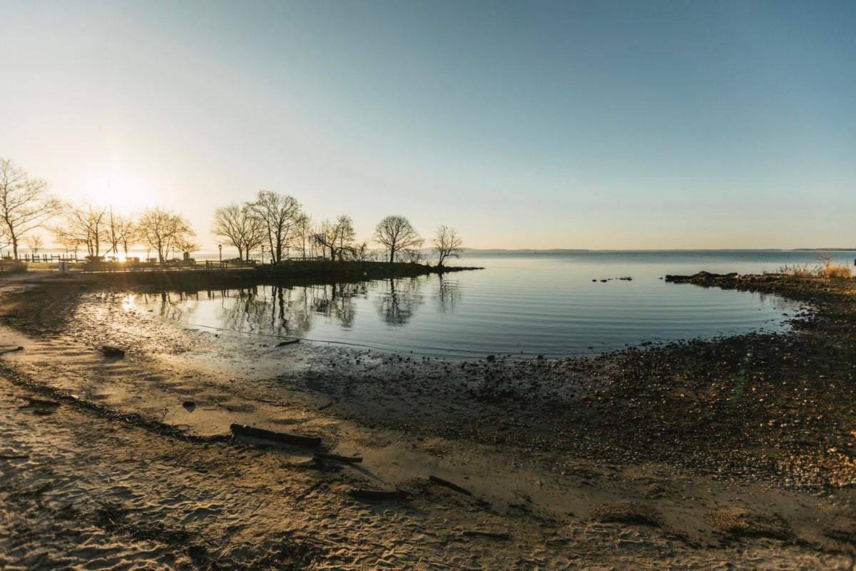 A coastal view of the Chesapeake Bay with water lapping at the shore.