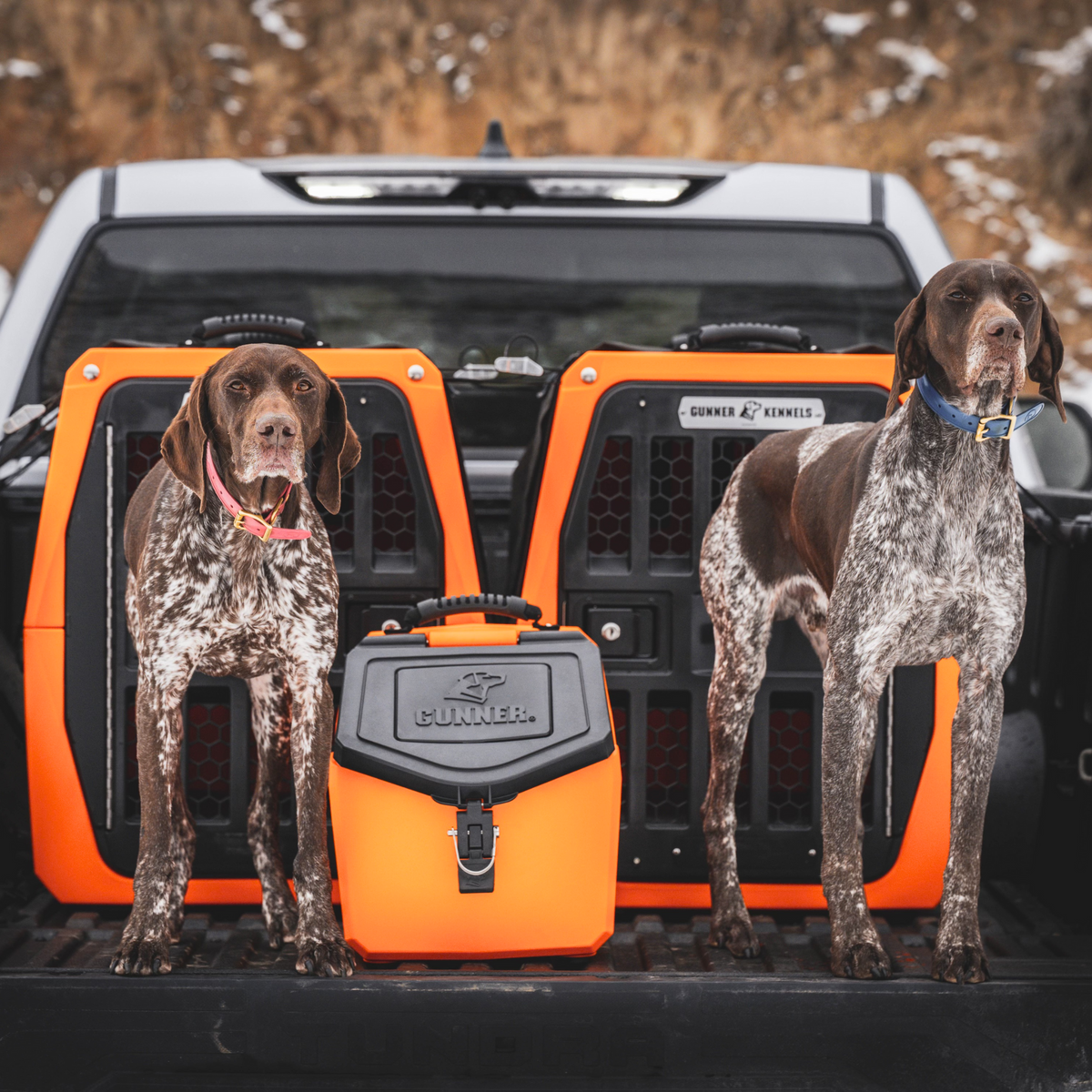 Two brown and white dogs with collars stand in a pickup truck bed next to two orange dog kennels, an orange cooler, and the GUNNER FOOD CRATE - BLAZE ORANGE by GUNNER, set against rocky terrain.