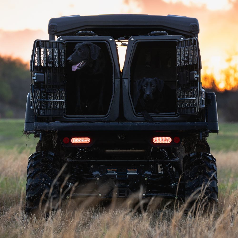 Two black dogs relax beside the G1™ KENNEL - BLACK by GUNNER in the back of a rugged off-road vehicle with open doors, parked on a grassy field at sunset as the sky glows orange and yellow.