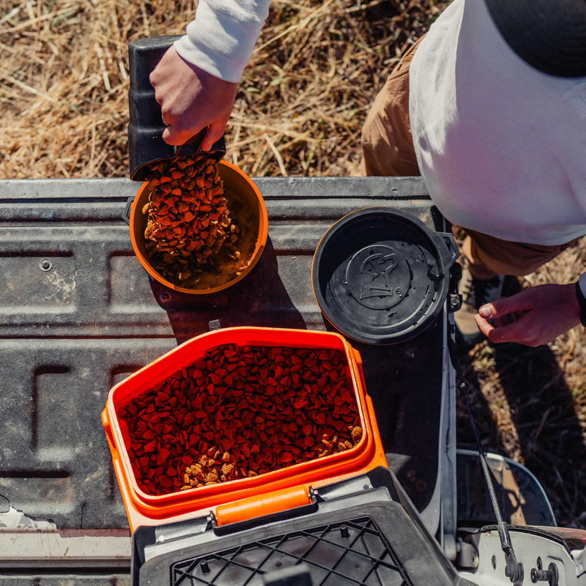 Someone scoops dry pet food from a GUNNER DOG BOWL - BLAZE ORANGE by GUNNER into a yellow bowl on the open tailgate of a vehicle, outdoors in a grassy area.