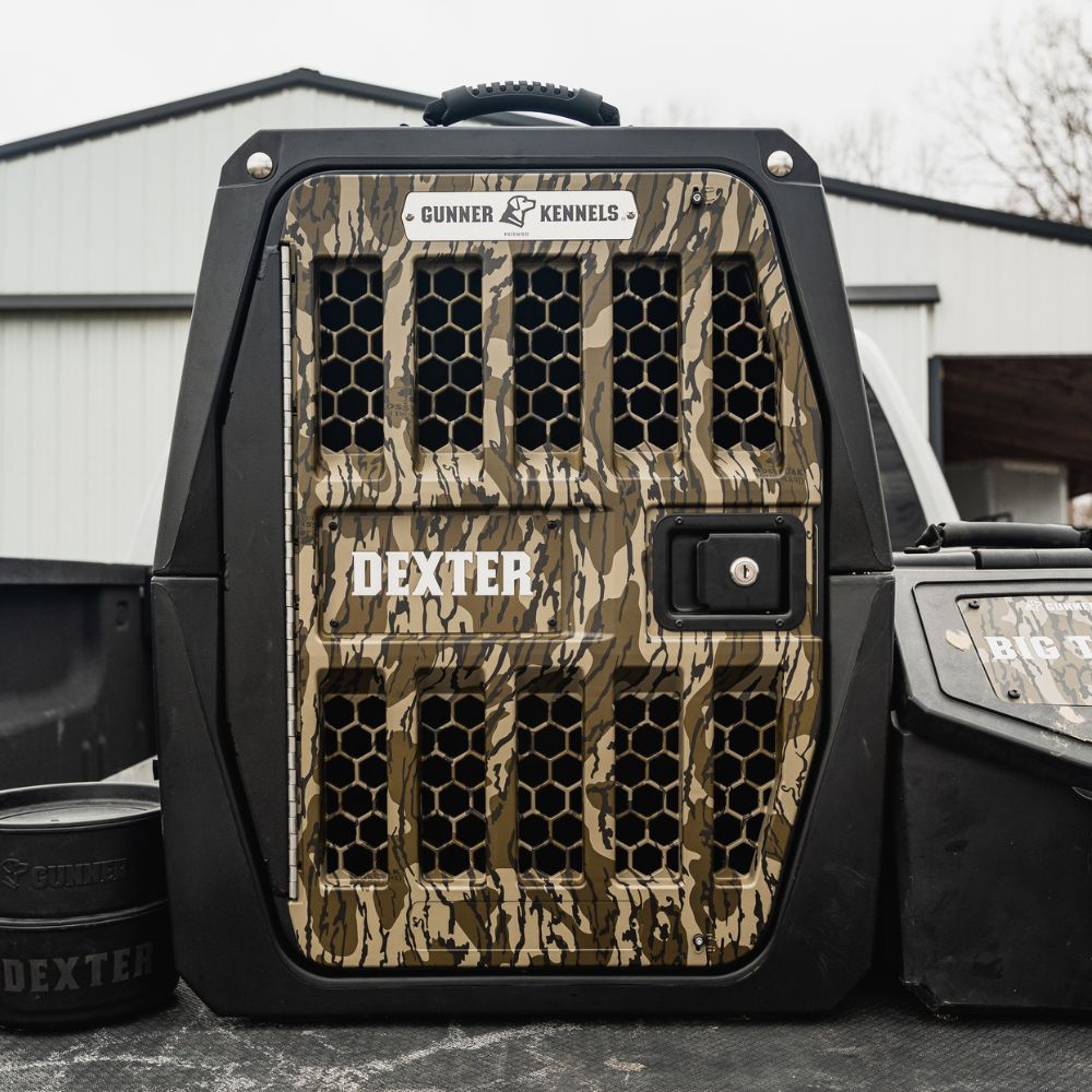 A durable GUNNER G1™ KENNEL - MOSSY OAK BOTTOMLAND BLACK with a DEXTER label sits in a vehicles back, parked before a light-colored building.