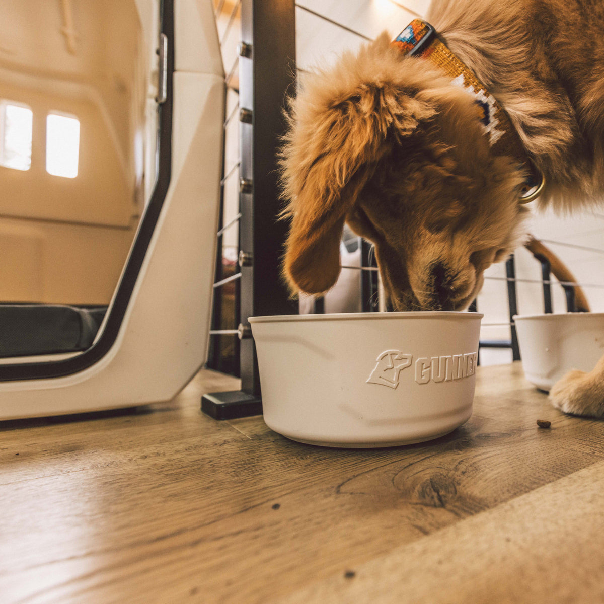 A brown and white dog with a collar eats from the GUNNER DOG BOWL by GUNNER, featuring a spill-proof lid, on a wooden floor beside a modern pet crate.