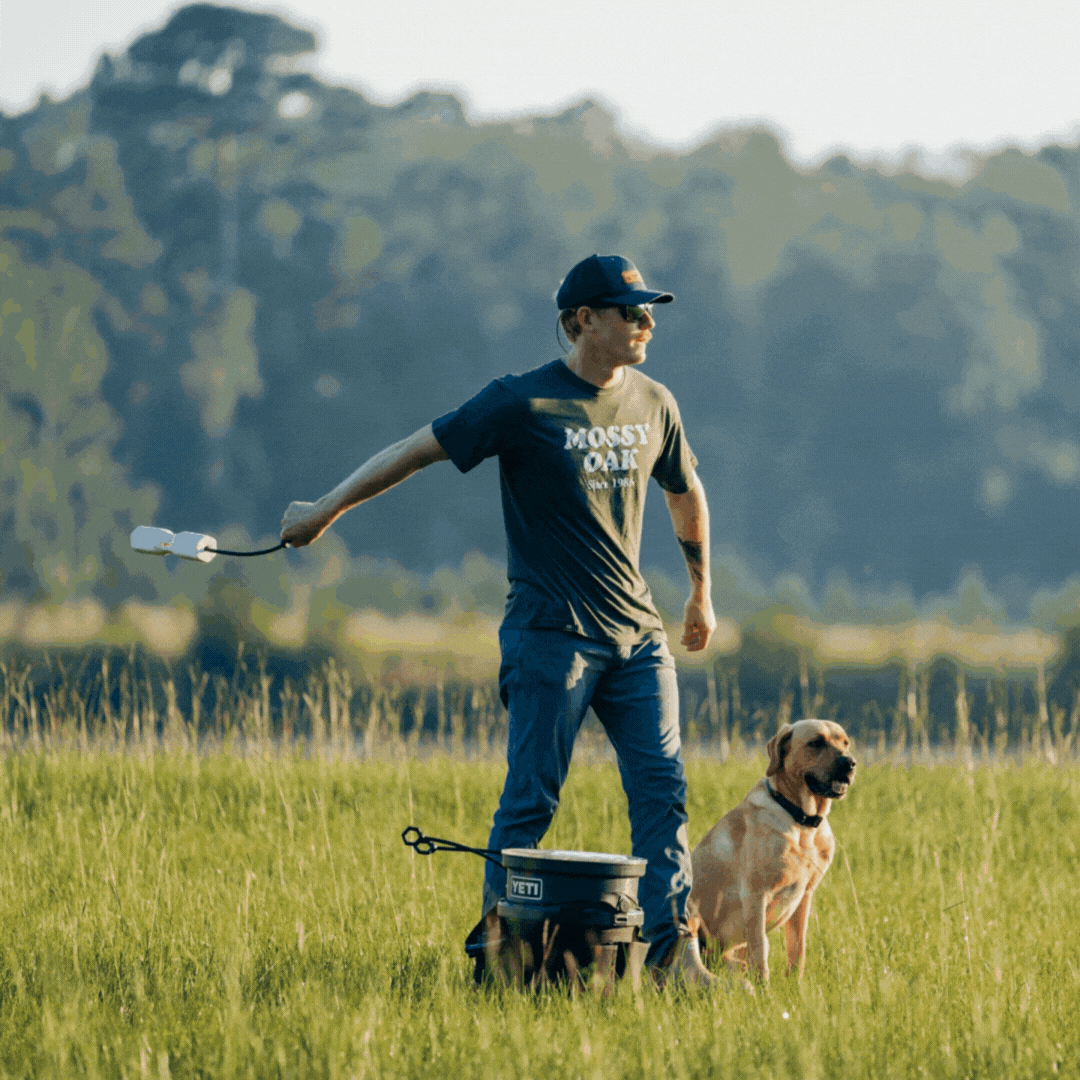 A man stands in a grassy field, throwing a training dummy while his yellow Labrador retriever, a skilled working dog, sits nearby and watches. The man wears a cap, sunglasses, dark t-shirt, and jeans. Trees blur in the background.