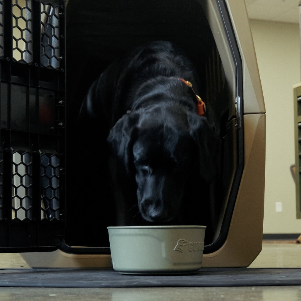 A black dog wearing a collar steps out of a crate and sniffs a light-colored food bowl placed on the GUNNER BOWL MAT - BLACK positioned on the floor in front of it.