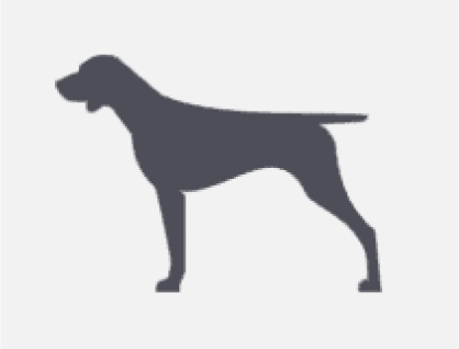 A simple, dark gray silhouette of a dog standing in profile on a light gray background, evoking the look of a classic dog kennel with its straight tail and pointed ears.