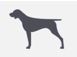 A simple, solid black silhouette of a hunting dog standing on all four legs, facing left, against a light gray background.