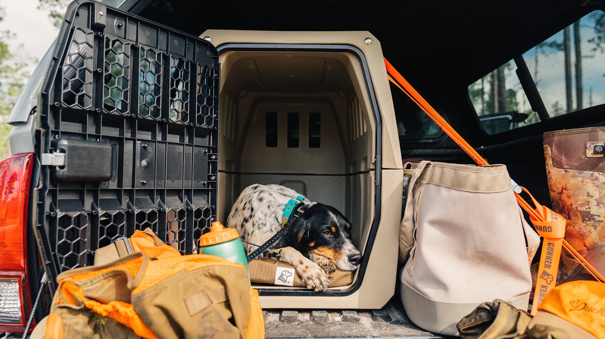 A black and white dog lies in a dog kennel in the back of a vehicle, surrounded by outdoor gear, bags, and equipment. The kennel door is open, and the dog looks relaxed yet alert.
