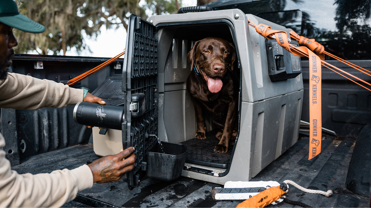 A brown hunting dog with its tongue out sits inside an open kennel in the back of a pickup truck, while a person opens the crate door. Orange tie-down straps secure the crate.