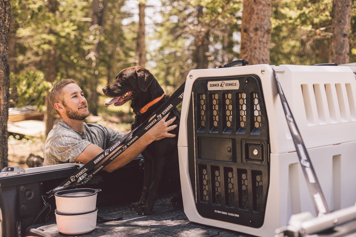 A man pets a brown working dog in the bed of a pickup truck next to a large white dog kennel, surrounded by trees in a forested outdoor setting.