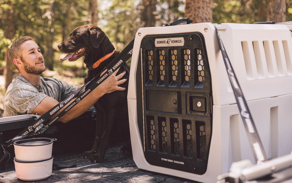 A man smiles and pets a black hunting dog wearing an orange collar, standing beside a large white dog crate in the back of a pickup truck. Trees and sunlight are visible in the background.