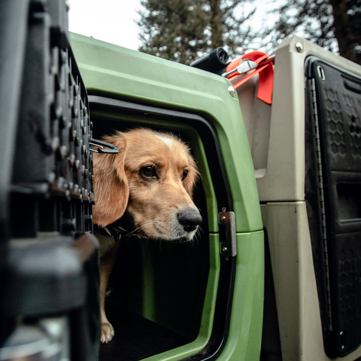 A brown dog with floppy ears looks out from a green pet crate, secured with the GUNNER CONNECTION STRAP KIT, with trees and outdoor gear in the background.