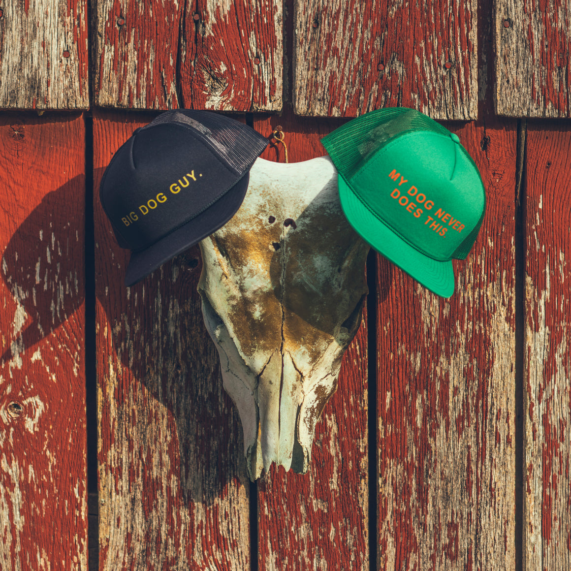 A weathered animal skull on red, peeling boards displays two GUNNER trucker hats: the black hat says BIG DOG GUY in blaze orange, while the green NEVER DOES THIS TRUCKER casts shadows in the sunlight.