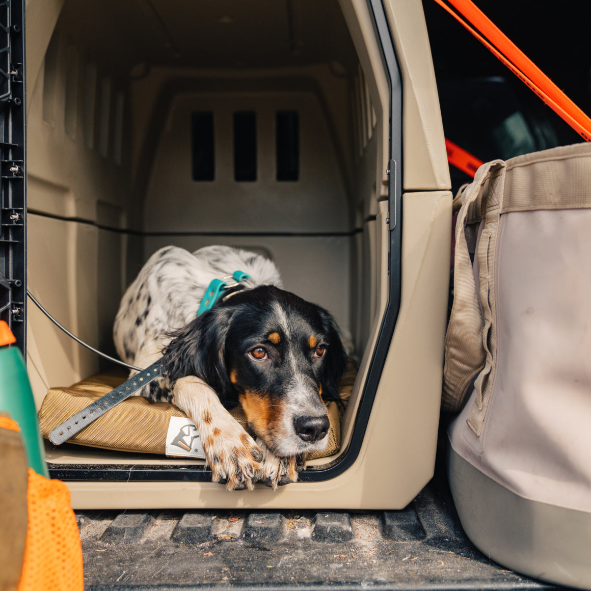 A black and white dog with tan markings lies on a GUNNER ORTHOPEDIC KENNEL BED inside an open pet crate, relaxed and looking out. The crate sits in the back of a vehicle next to a beige bag.