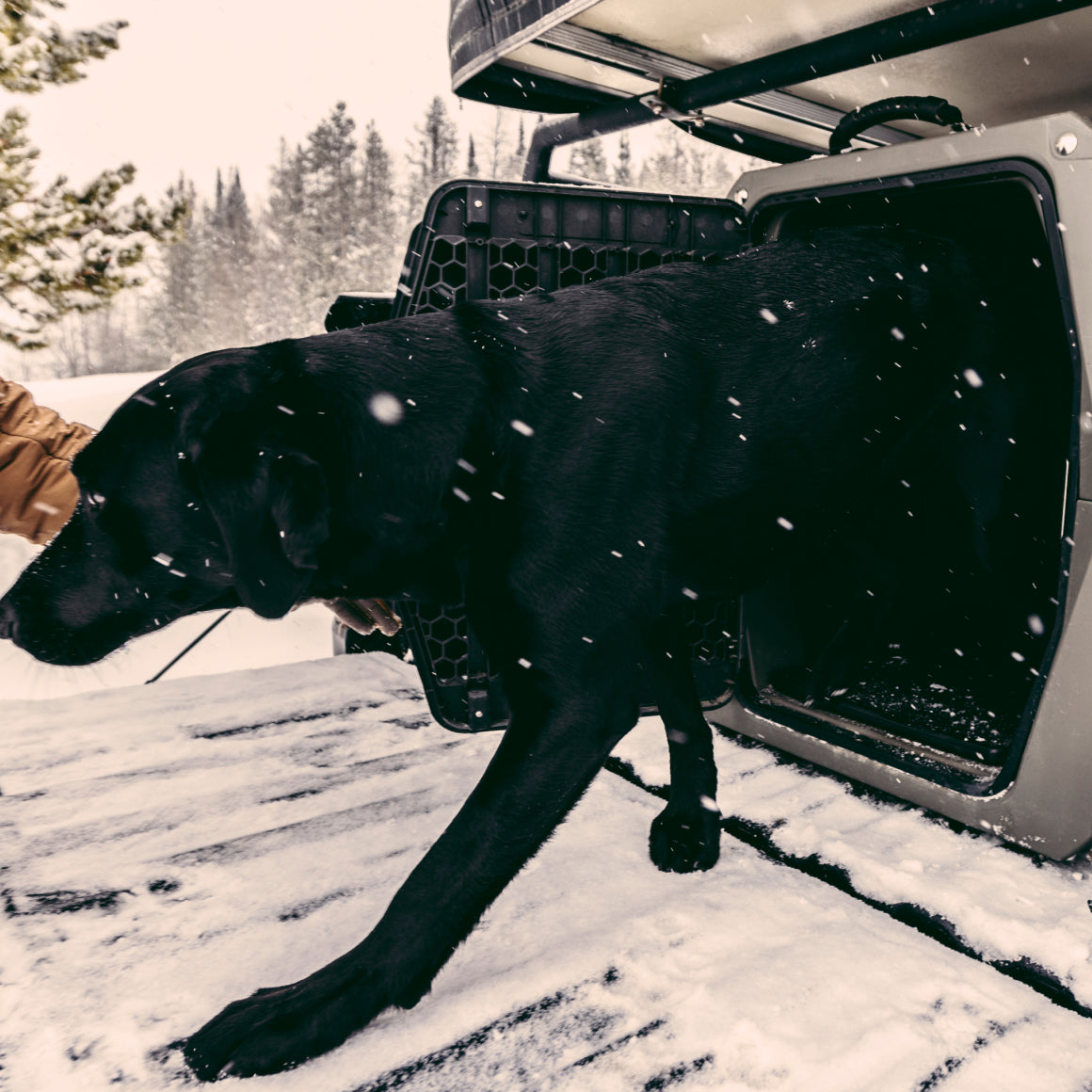 A black dog exits a GUNNER sporting dog crate outfitted with the PERFORMANCE PAD onto snowy ground, with snow falling and trees in the background.