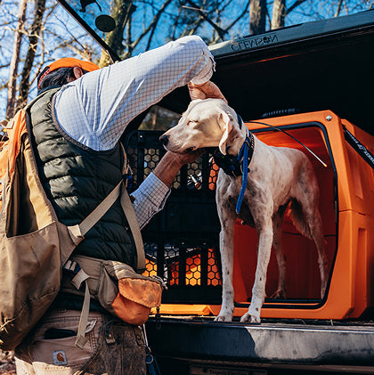 A person in hunting gear adjusts the collar of a spotted dog standing in an orange G1™ KENNEL - BLAZE ORANGE set on the back of a vehicle.