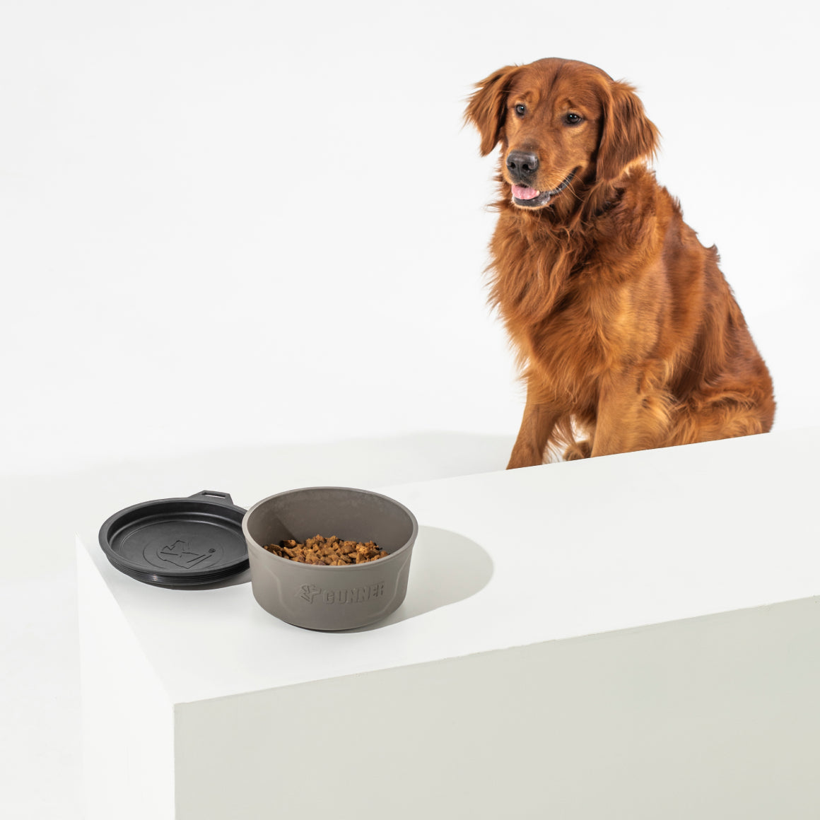 A golden retriever sits behind a white table with a GUNNER DOG BOWL in Gunmetal by GUNNER, filled with kibble, and its black lid placed beside it.