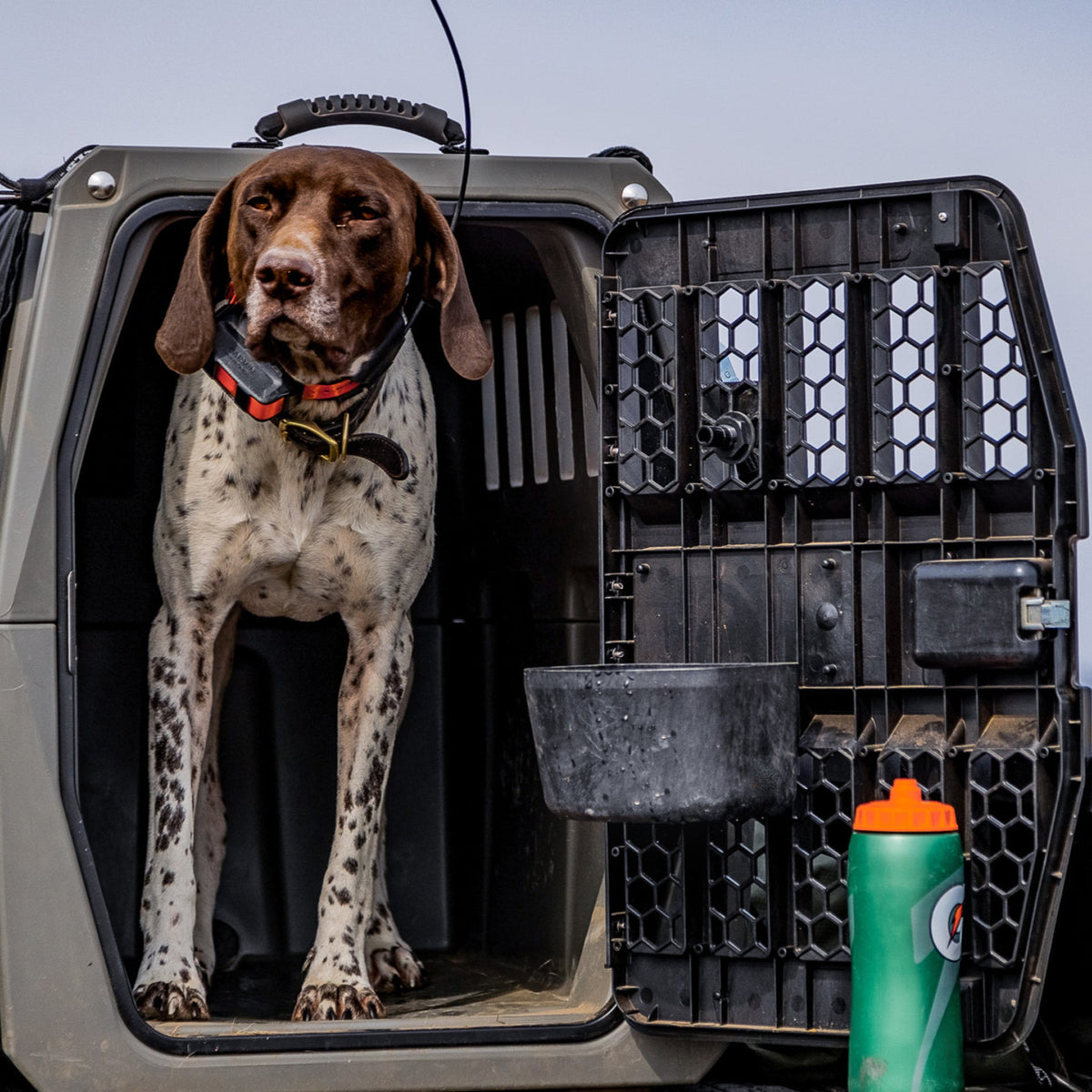 A brown and white spotted dog with a collar stands in an open G1 Kennel. In the foreground, a green KENNEL BOWL with an orange cap highlights the importance of dog hydration.