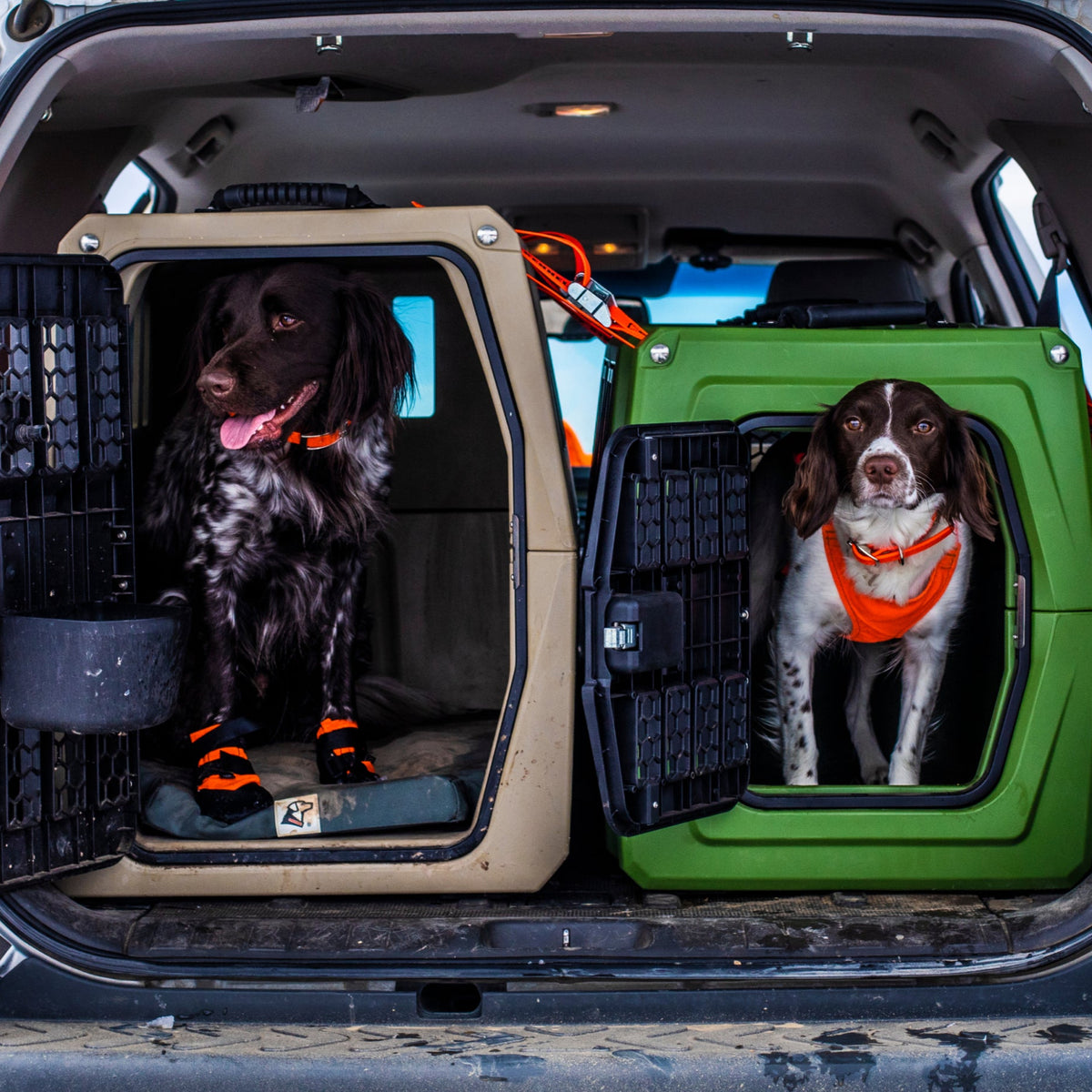 Two dogs in separate crates at the back of a vehicle are secured with the GUNNER CONNECTION STRAP KIT. Both wear orange collars and bandanas; the left dog sits looking left, and the right dog stands facing forward.