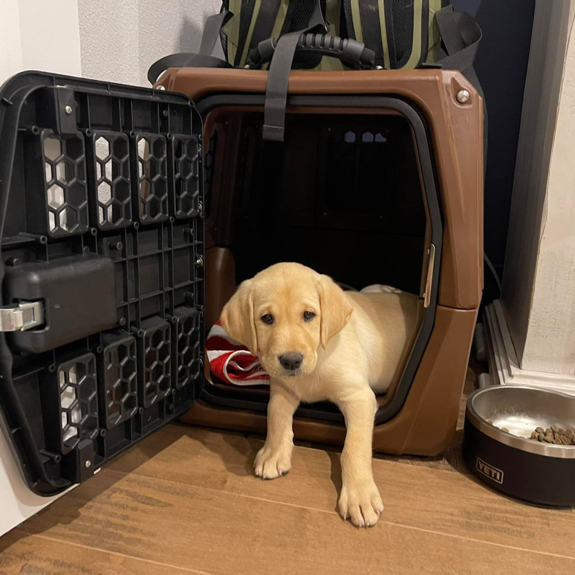 A yellow Labrador puppy from the GUNNER Archive Series lounges inside a GUNNER G1™ KENNEL - SUSQUEHANNA, its paws on the wooden floor. The kennel door is open, a bowl of dog food sits nearby, and a green Flyway bag rests on top.