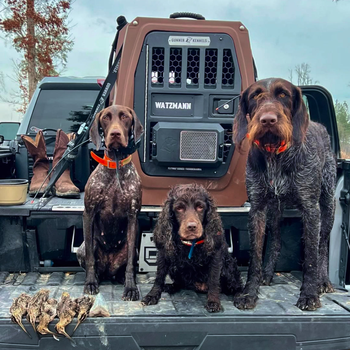 Three hunting dogs with orange collars sit on the open tailgate beside boots and a crate—the GUNNER G1™ KENNEL - SUSQUEHANNA—while small birds displayed in front highlight a successful hunt and the spirit of classic Flyway colors.