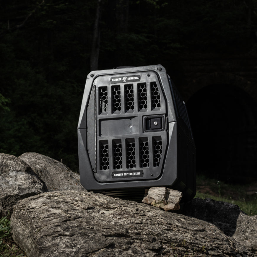 A rugged, black kennel with ventilation holes sits on large rocks outdoors, surrounded by greenery and trees—perfect outdoor gear for your hunting dog.
