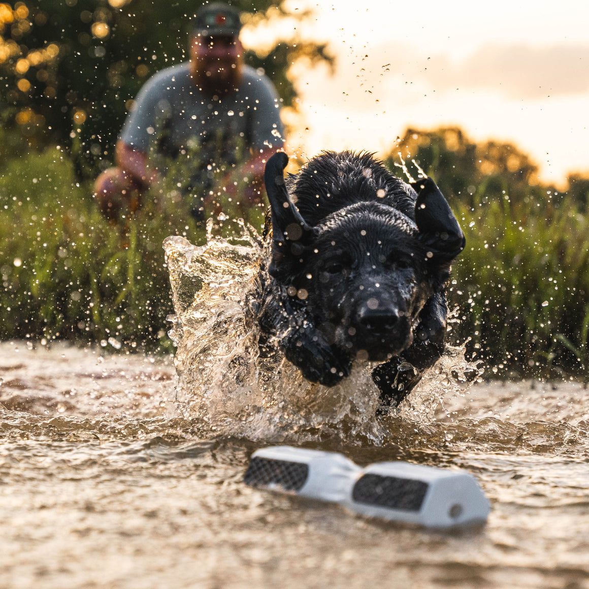 A black dog leaps into the water toward a white GUNNER BUMPER by GUNNER, splashing as a person watches nearby—enjoying quality time outside on a bright, sunny day.