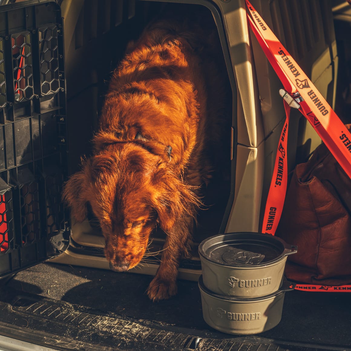 A reddish-brown dog steps out of a GUNNER G1™ KENNEL - TAN in the back of a vehicle. Nearby are orange straps, a leather bag, and two stacked collapsible dog bowls, all bathed in warm sunlight.
