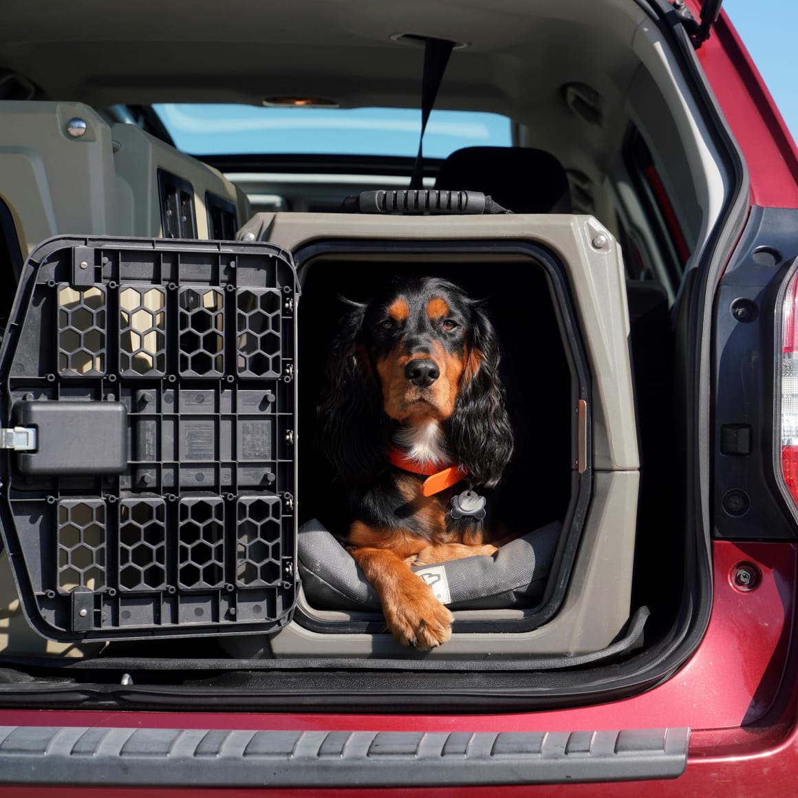 A black and brown dog wearing a red collar sits comfortably inside a GUNNER G1™ KENNEL - GUNMETAL in the back of a red SUV, looking toward the camera.
