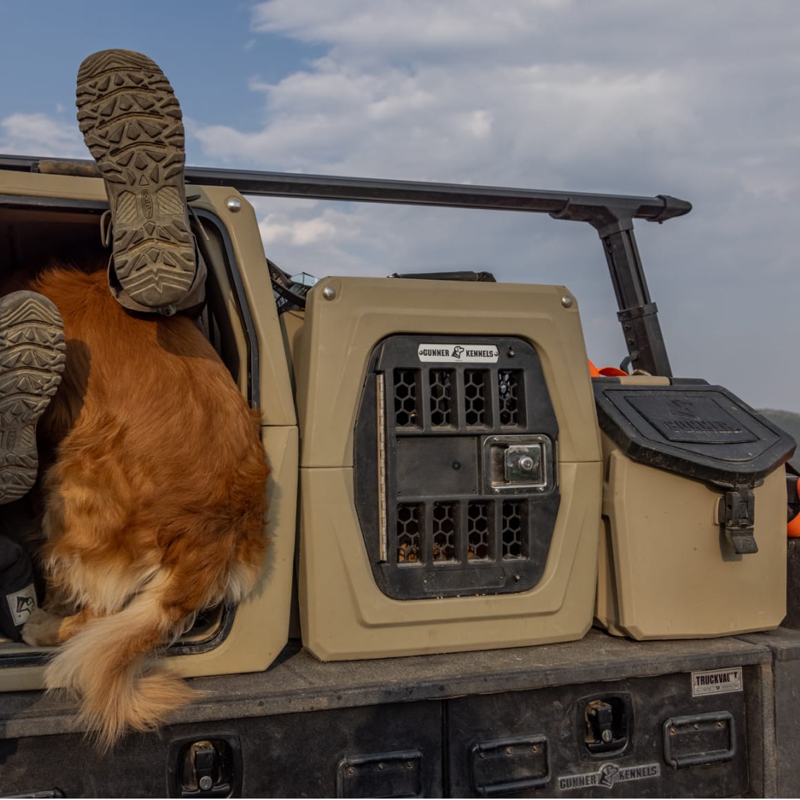 A golden retriever with its tail and hind legs visible climbs into a tan animal crate beside a GUNNER FOOD CRATE - TAN, both by GUNNER, on the back of a vehicle under a partly cloudy sky.