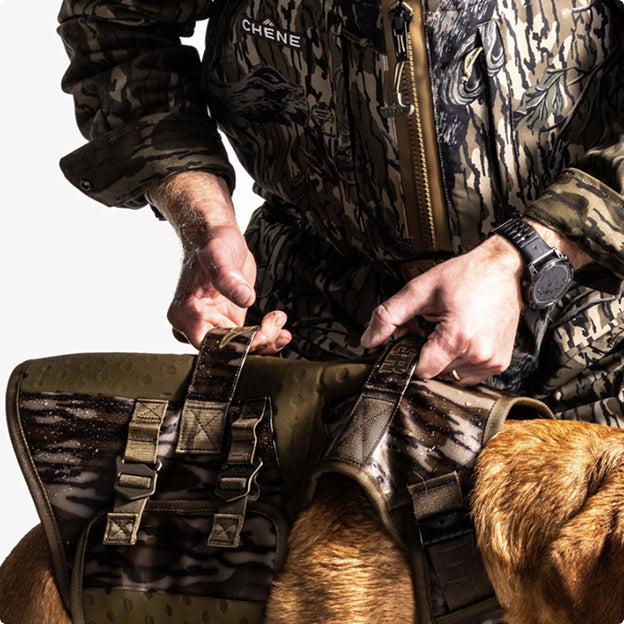 A person in camouflage clothing fastens a rugged harness onto a brown hunting dog, preparing it for outdoor activity. The scene focuses on their hands and the sturdy outdoor gear, highlighting the harnesss durable design.