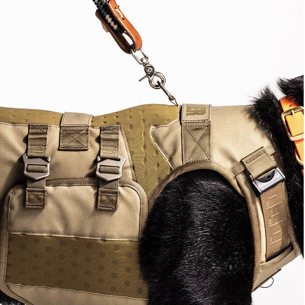 A black dog wearing a tan tactical harness with metal buckles, straps, and a pocket, attached to a leash stands ready for adventure—perfect for the journey to the dog kennel—against a white background.