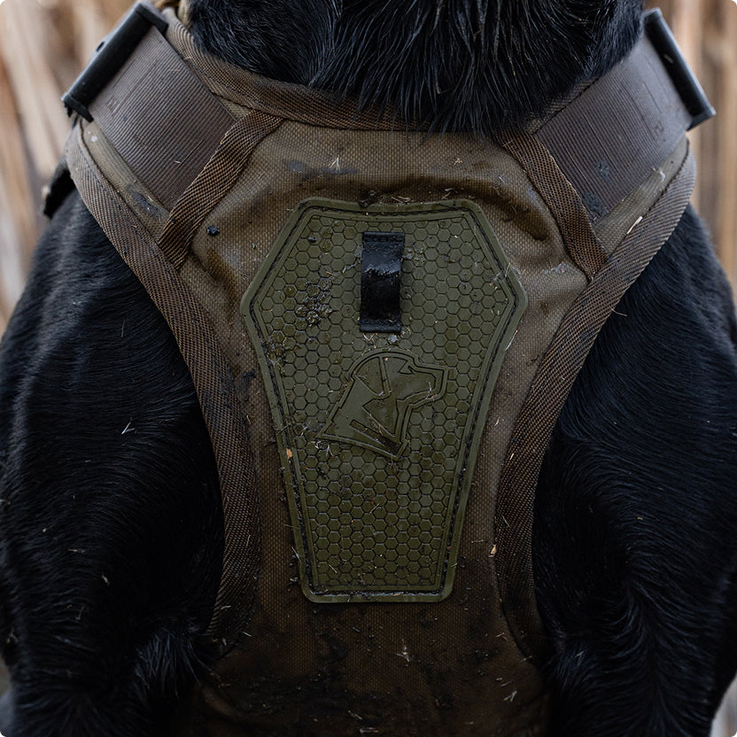 Close-up of a black dog wearing a brown and green tactical vest with a honeycomb pattern and raised dog head logo on the back. The vest appears dirty, hinting at recent use with outdoor gear or adventures beyond the dog crate.