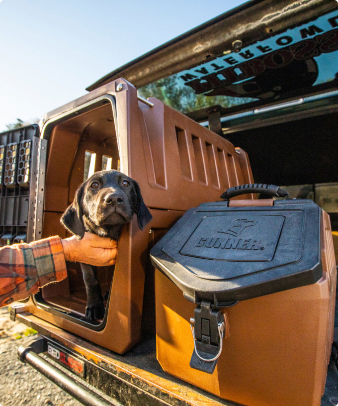 A black Labrador puppy, destined to be a working dog, looks out from a brown dog crate in the back of a vehicle while a person’s hand gently supports its chest. A brown storage container labeled Gunner sits nearby.