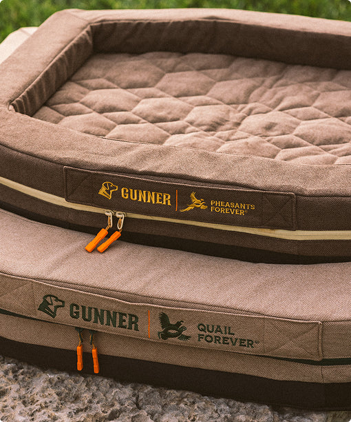 Two brown rectangular dog beds stacked outdoors, featuring GUNNER branding and logos for Pheasants Forever and Quail Forever with orange zipper pulls. Ideal as comfortable accessories for your dog crate or dog kennel, these beds are perfect additions to your outdoor gear collection. Grass and stone surface are visible in the background.