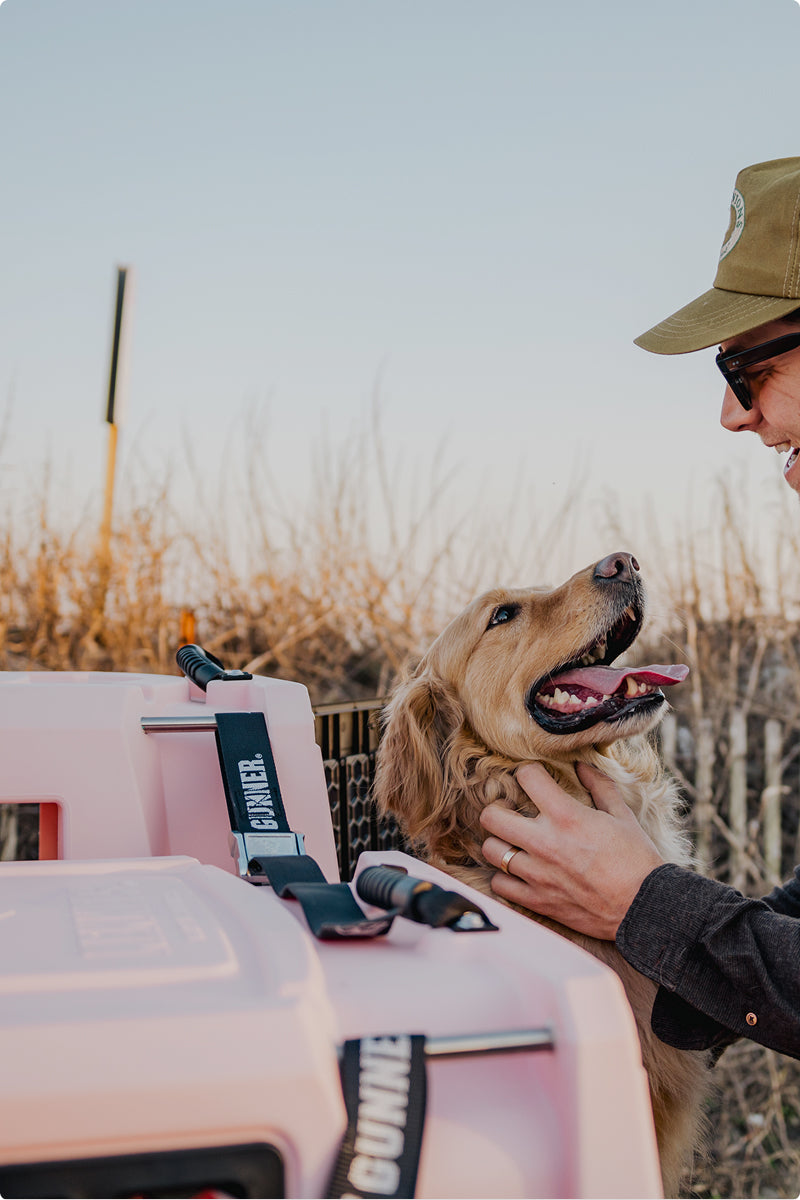 A person in sunglasses and a cap pets a happy golden retriever next to a pink dog crate outdoors, with dry grass and a clear sky in the background—perfect for bonding with a friendly hunting dog.