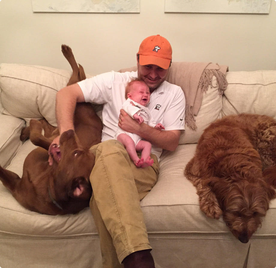 A man wearing a baseball cap sits on a couch holding a crying baby, with one playful brown dog lying on its back beside them and another shaggy brown dog resting like its fresh from the kennel on the other side.