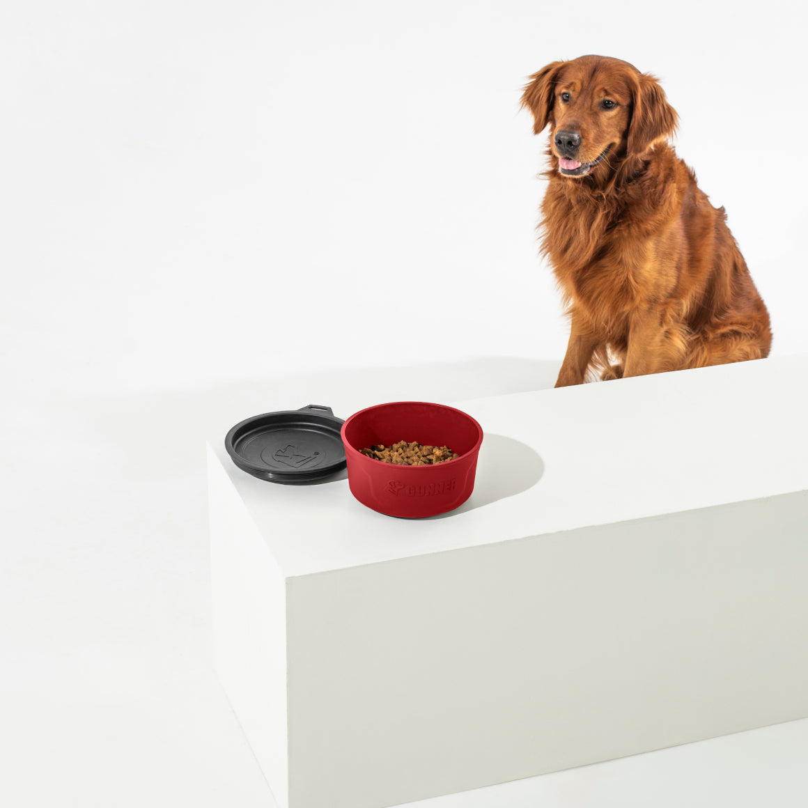 A golden retriever sits beside a white block displaying the GUNNER DOG BOWL - Red by GUNNER, filled with kibble and covered with a black lid, set against a white background.