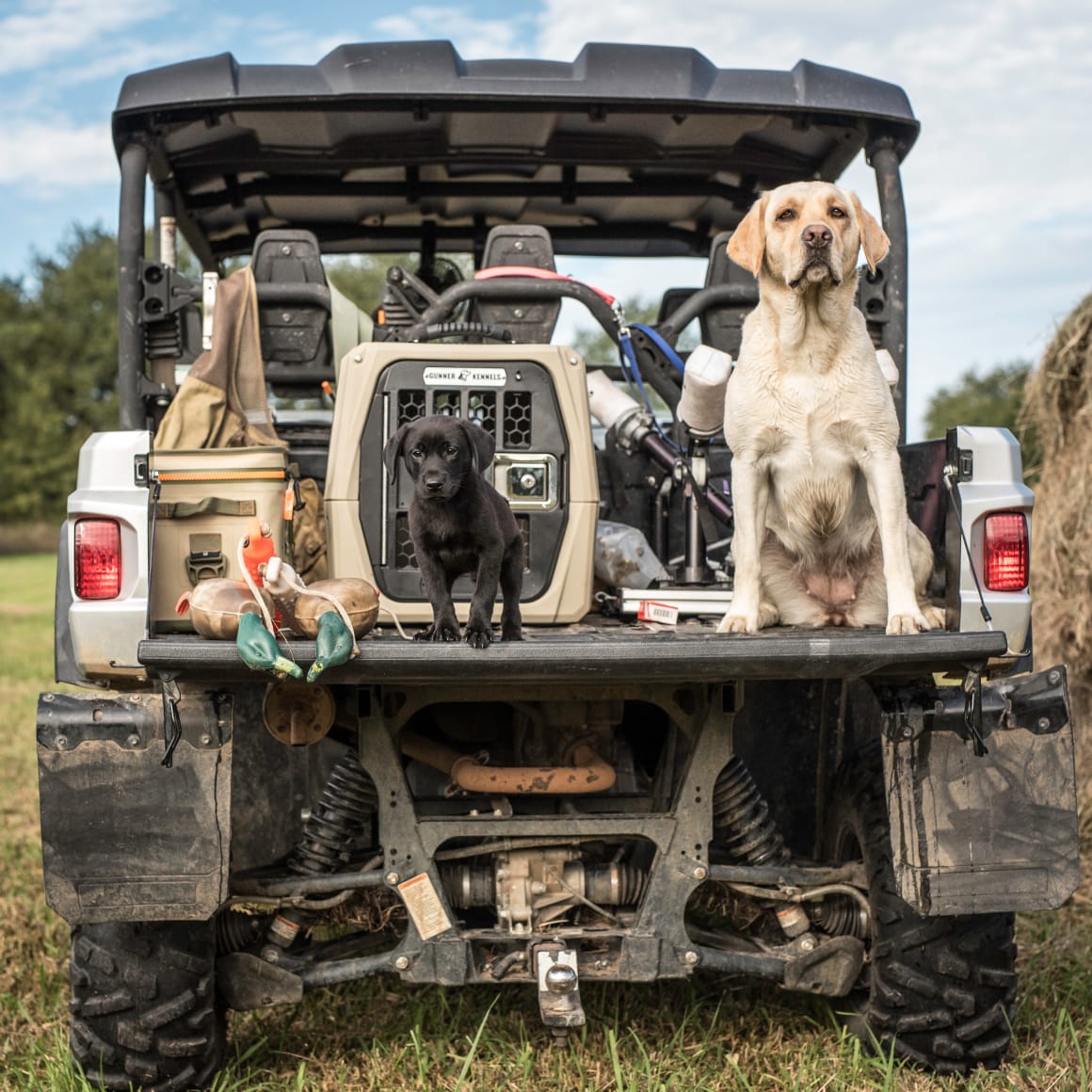Two dogs, one black and one yellow, sit on the open tailgate of a gear-filled off-road vehicle. Their GUNNER G1™ KENNEL - TAN provides double-walled shock protection for safe adventures in a grassy field under partly cloudy skies.