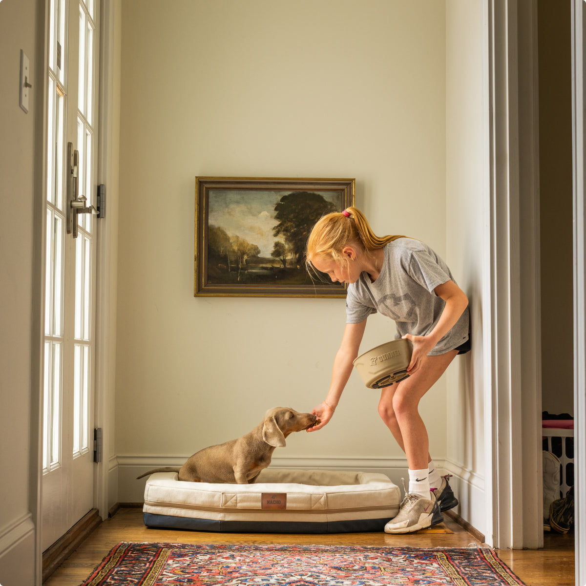 A woman in athletic wear feeds a small brown dog sitting on a cushioned bed beside a dog kennel in a hallway with a patterned rug and a landscape painting. Sunlight streams in from a nearby door.