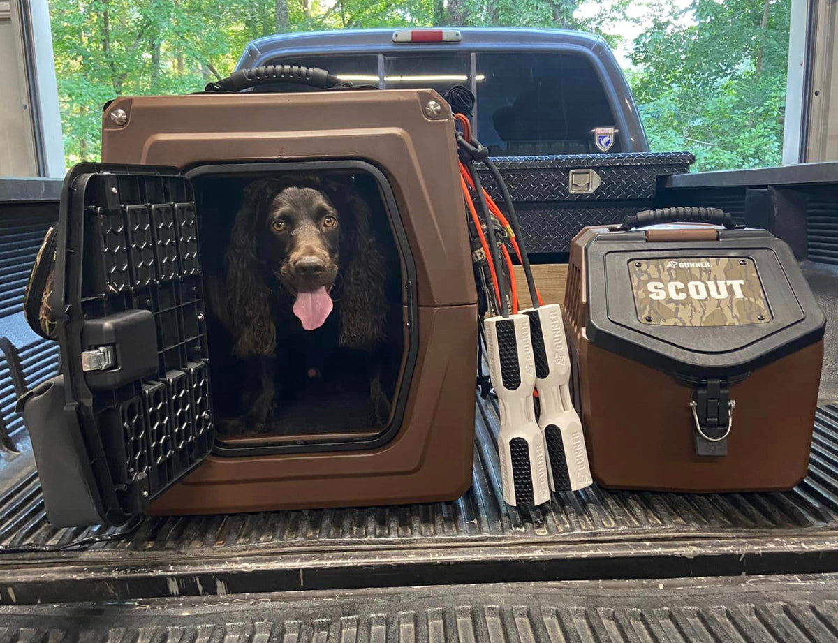 A brown dog with long ears sits in an open GUNNER G1™ KENNEL - SUSQUEHANNA on a truck bed. Next to it are a SCOUT container and training bumpers, with flyway colors and trees highlighting dog protection in the background.