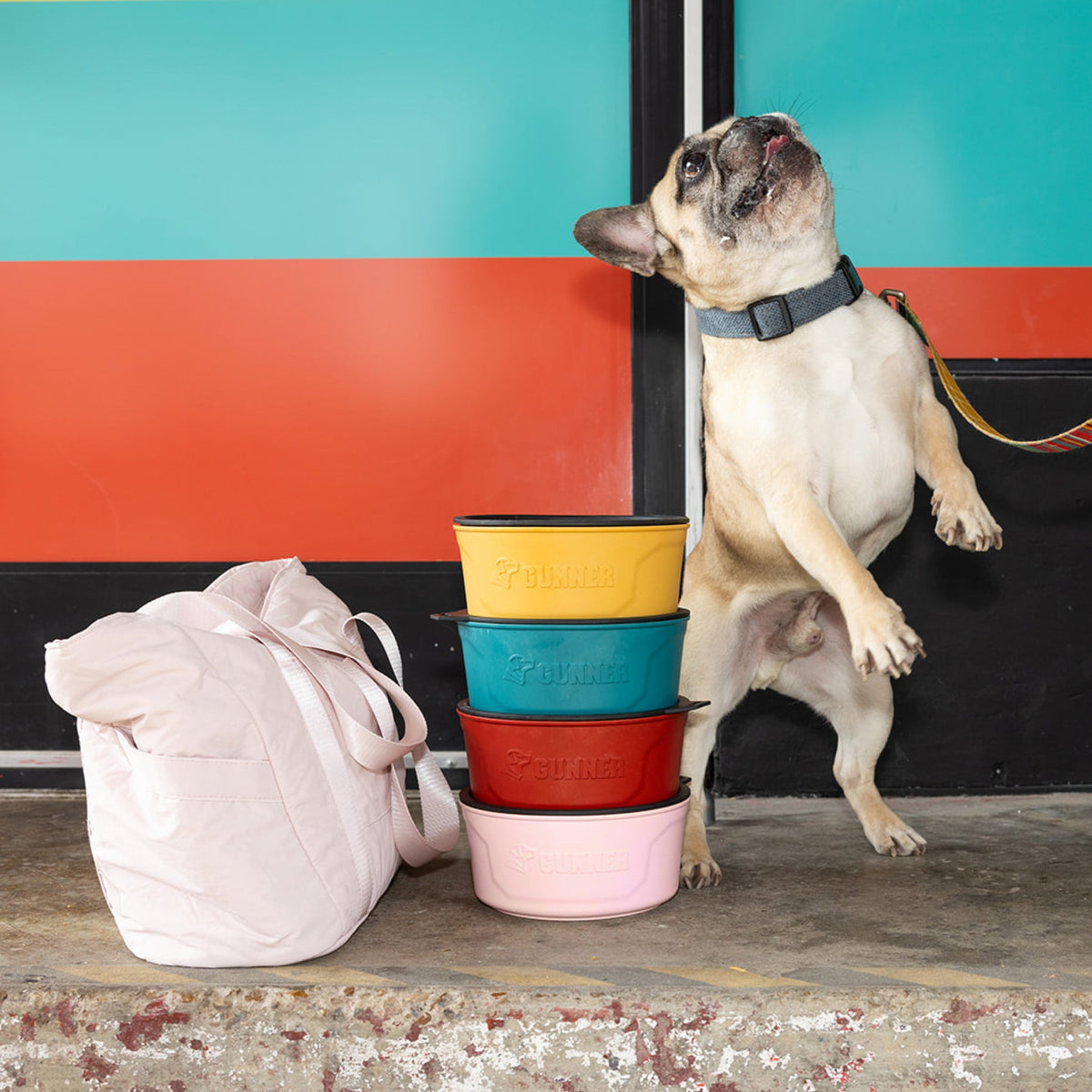 A French Bulldog stands on its hind legs next to a pink GUNNER DOG BOWL by GUNNER and three stacked travel bowls in yellow, teal, and red, all set against a bright turquoise and orange wall.
