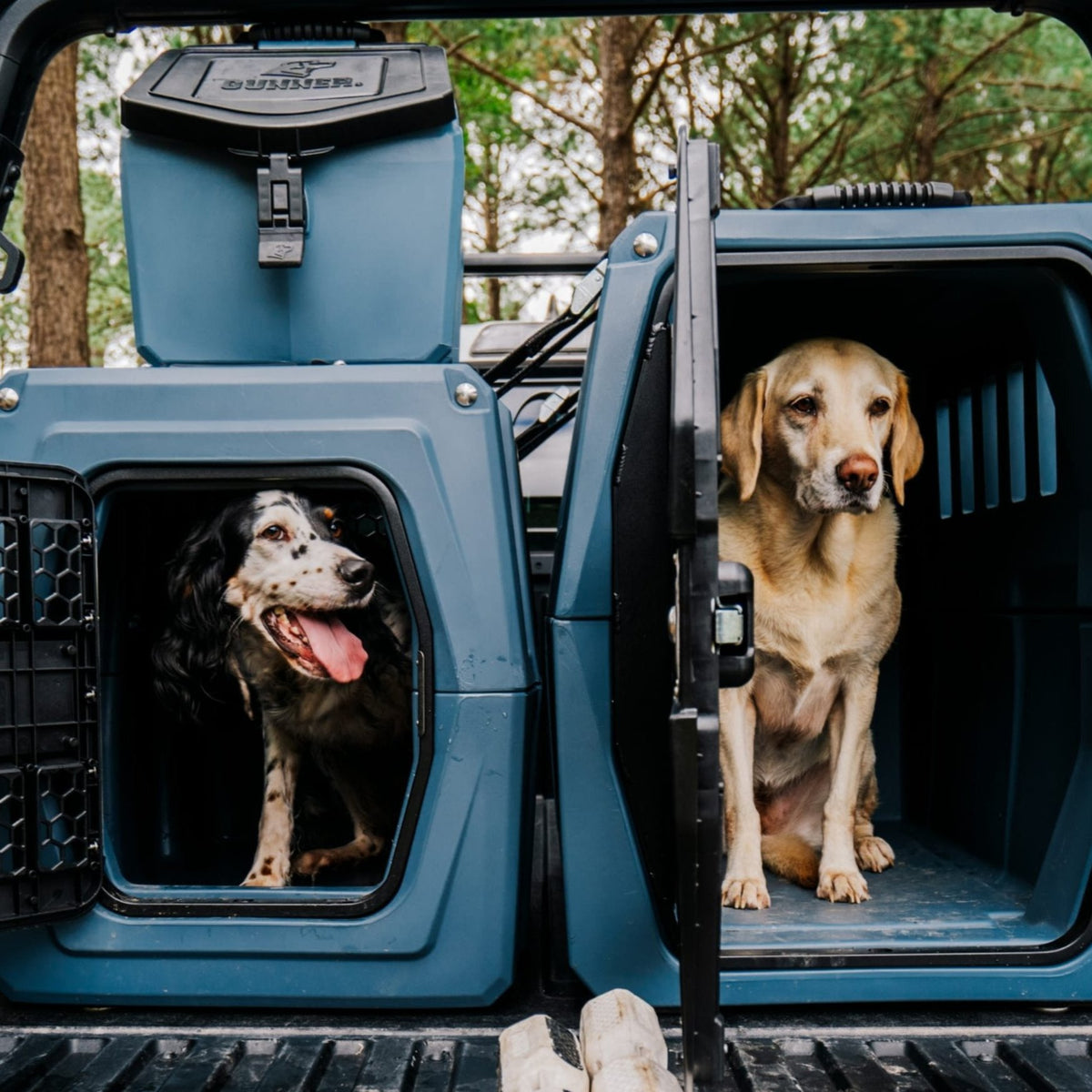Two dogs—a black and white one and a yellow one—sit in separate GUNNER G1™ Kennels (Ducks Unlimited Blue) in the back of a vehicle with trees outside. The black and white dog looks happy; the yellow dog appears calm.