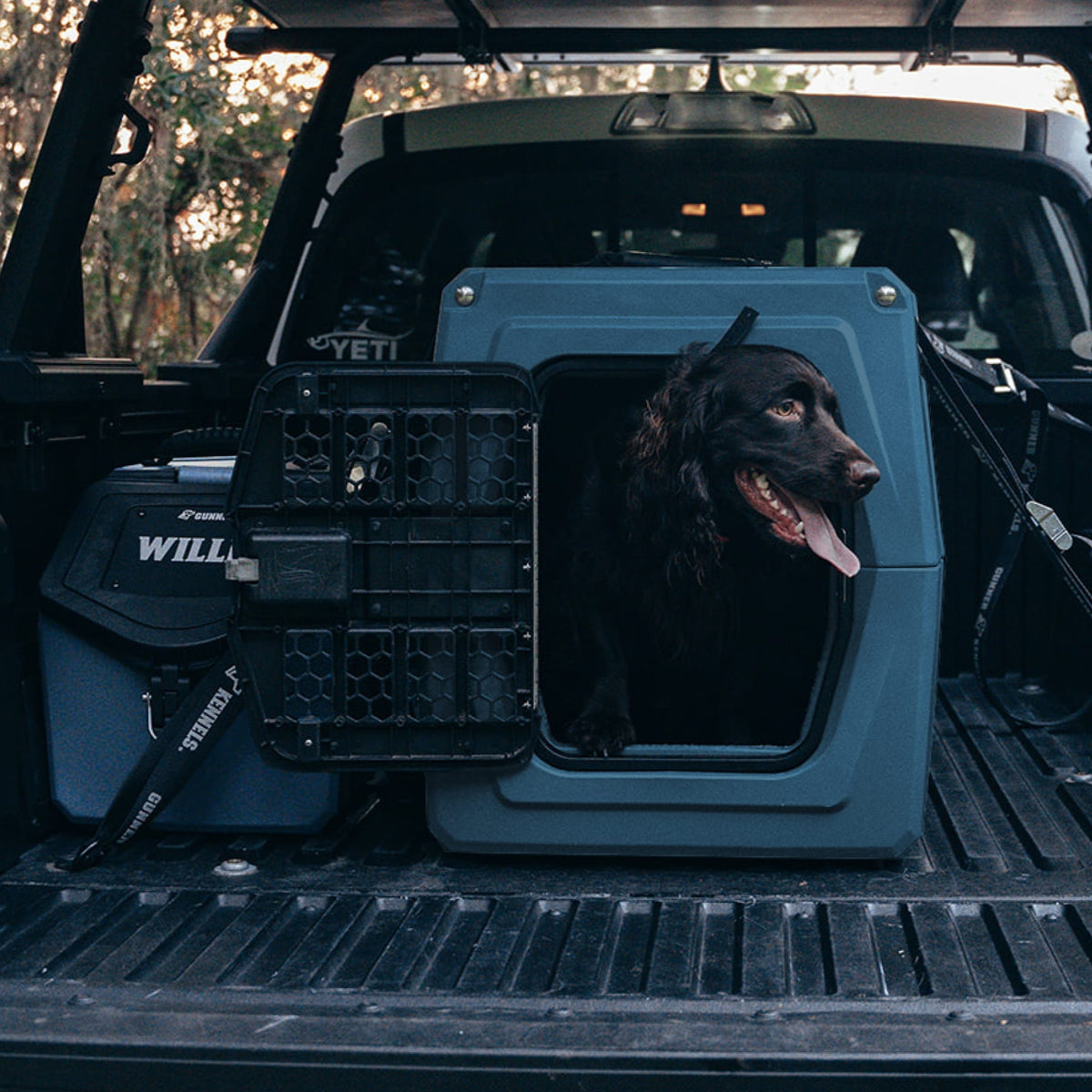 A dark brown dog sits in a blue GUNNER G1™ KENNEL - Ducks Unlimited Blue, its tongue out and looking to the side, with the crate door open and Ducks Unlimited waterfowl gear nearby in the truck bed.