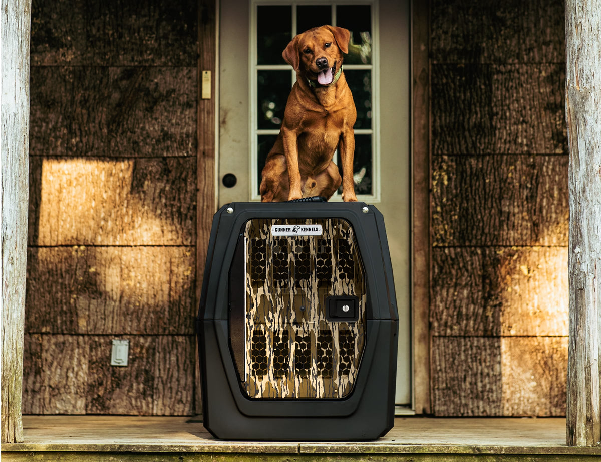A brown dog sits happily atop the GUNNER G1™ KENNEL - MOSSY OAK BOTTOMLAND BLACK, tongue out, in front of a wooden house with a glass door.