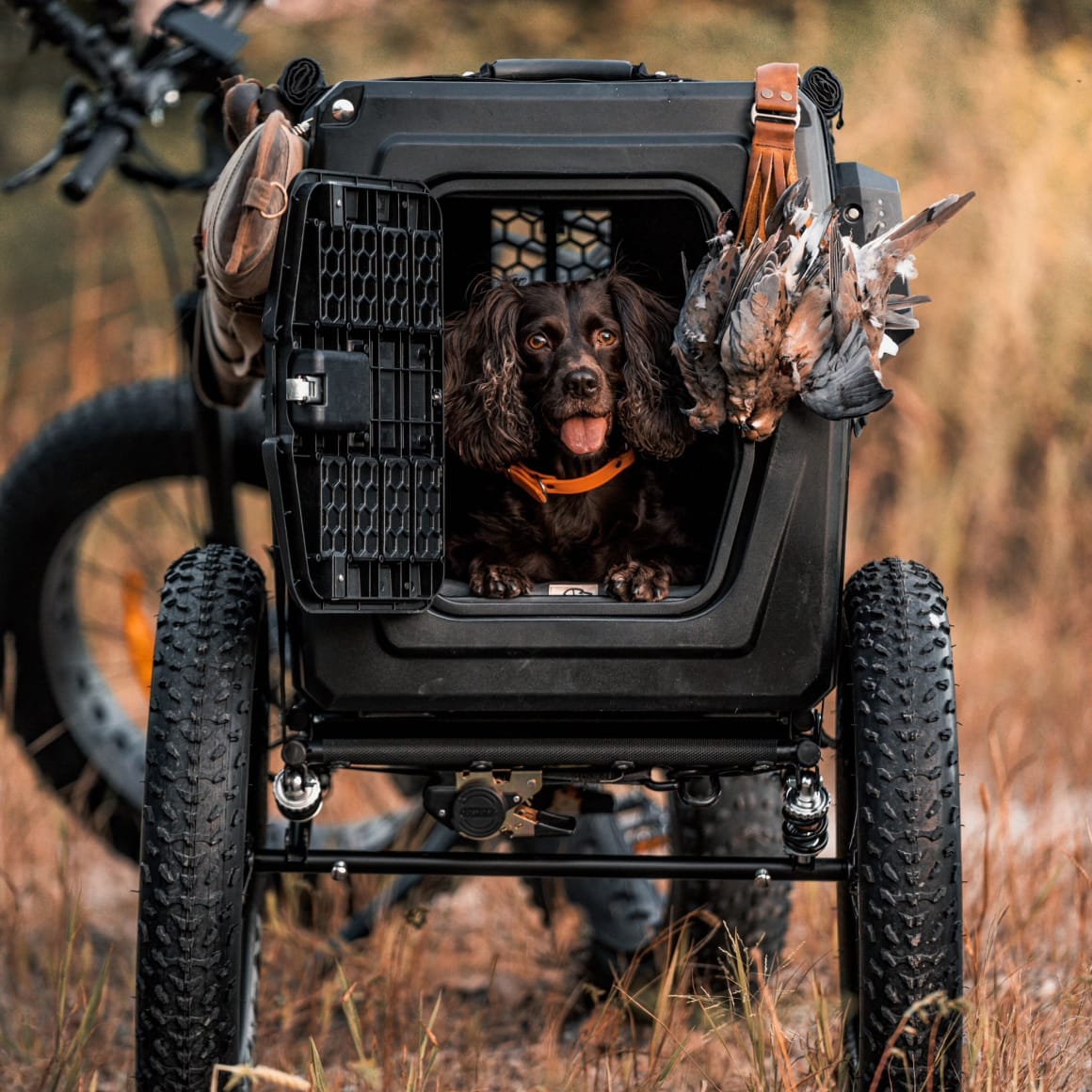A brown dog with an orange collar sits in a GUNNER G1™ KENNEL - MOSSY OAK BOTTOMLAND BLACK attached to a bike. The kennel door is open, game birds hang nearby, and the scene is outdoors on a grassy trail.